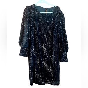 Lane Bryant long sleeve sequin plus size dress